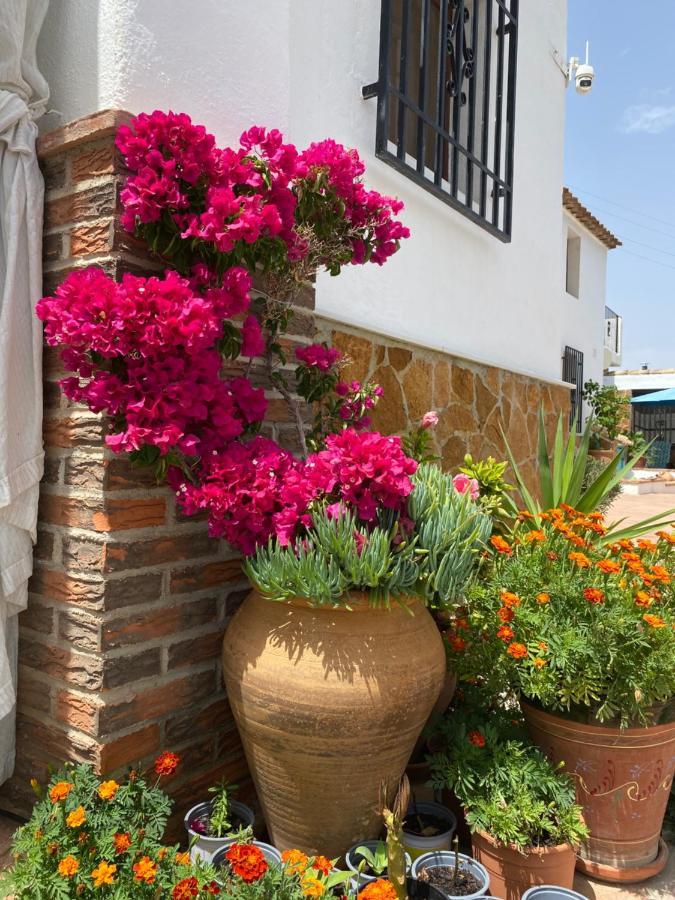 OriaCortijo Perejil, A Tranquil Mountain Escape & Private Pool公寓 外观 照片