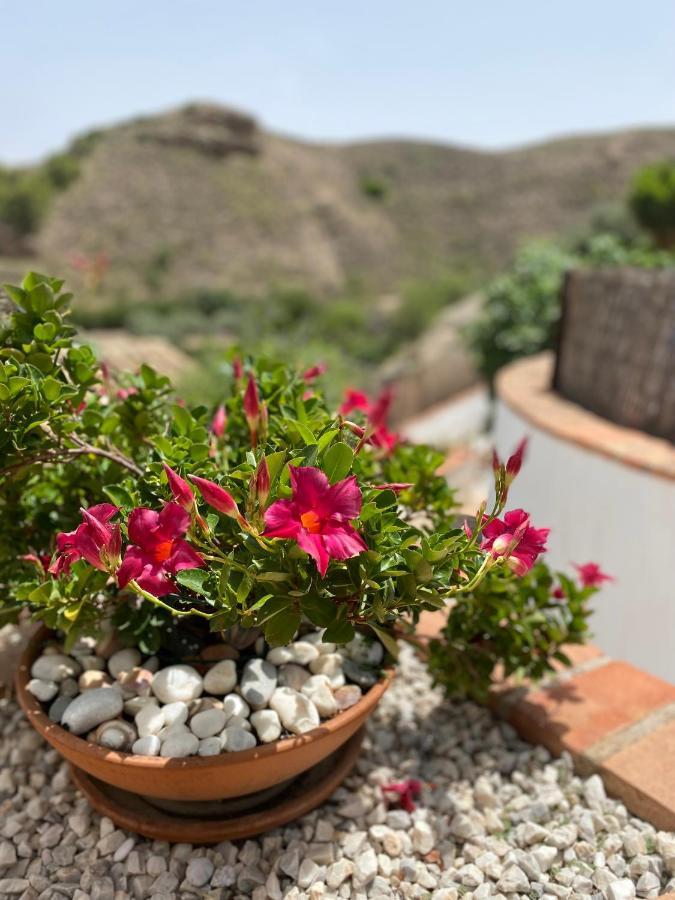 OriaCortijo Perejil, A Tranquil Mountain Escape & Private Pool公寓 外观 照片