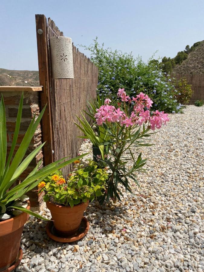 OriaCortijo Perejil, A Tranquil Mountain Escape & Private Pool公寓 外观 照片